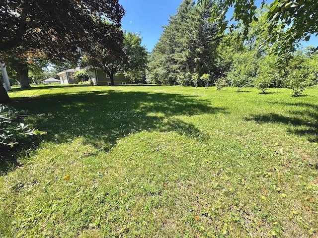 300 Lyon St, Minneota, MN 56264 - view of green lawn