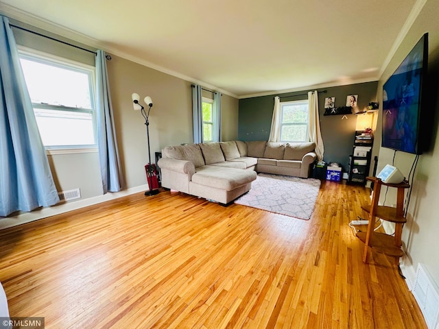 10701 6th St NE, Blaine, MN 55434 - living area with wood finished floors and crown molding
