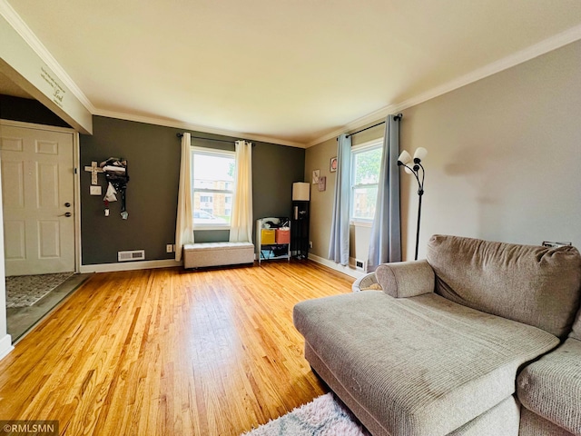 10701 6th St NE, Blaine, MN 55434 - living area with light wood-type flooring and crown molding