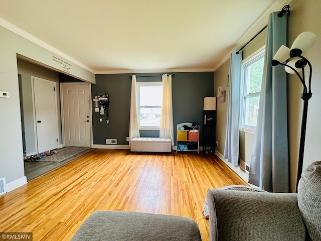 10701 6th St NE, Blaine, MN 55434 - living room with ornamental molding, plenty of natural light, and light wood-style floors