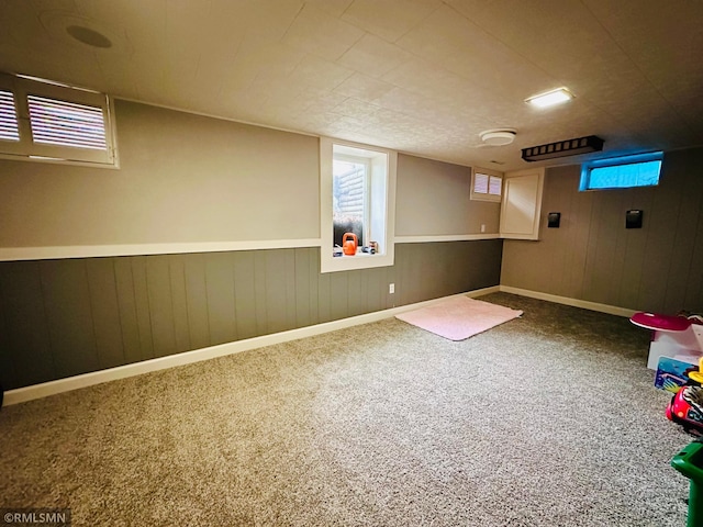 10701 6th St NE, Blaine, MN 55434 - basement featuring carpet and wood walls