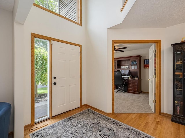 18232 Roosevelt St NW, Elk River, MN 55330 - foyer with light wood-style floors and ceiling fan