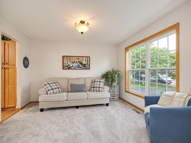 18232 Roosevelt St NW, Elk River, MN 55330 - carpeted living room with baseboards and a textured ceiling
