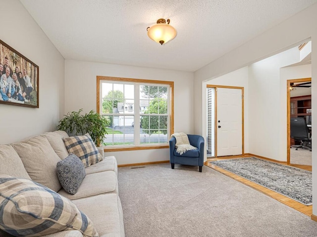 18232 Roosevelt St NW, Elk River, MN 55330 - living room with carpet, a textured ceiling, and an office area