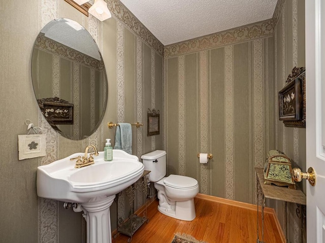 18232 Roosevelt St NW, Elk River, MN 55330 - bathroom featuring wood finished floors, wallpapered walls, and a textured ceiling
