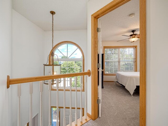 18232 Roosevelt St NW, Elk River, MN 55330 - hallway featuring carpet, healthy amount of natural light, and a textured ceiling