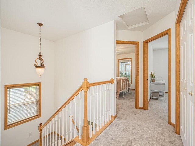 18232 Roosevelt St NW, Elk River, MN 55330 - corridor with an upstairs landing, plenty of natural light, and light colored carpet