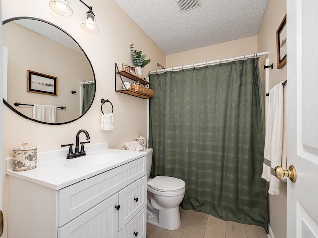 18232 Roosevelt St NW, Elk River, MN 55330 - bathroom featuring vanity, a textured ceiling, wood finished floors, and a shower with curtain
