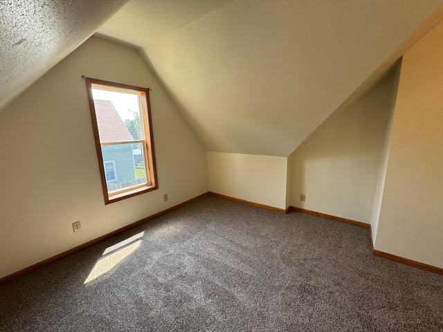 608 Duluth Ave N, Thief River Falls, MN 56701 - bonus room featuring carpet floors and lofted ceiling
