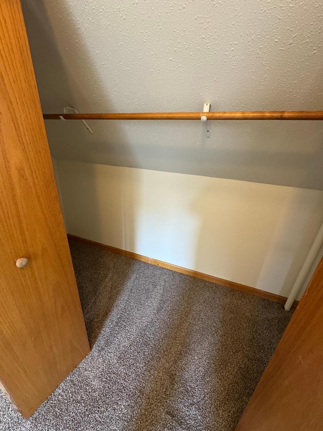 608 Duluth Ave N, Thief River Falls, MN 56701 - spacious closet with carpet floors