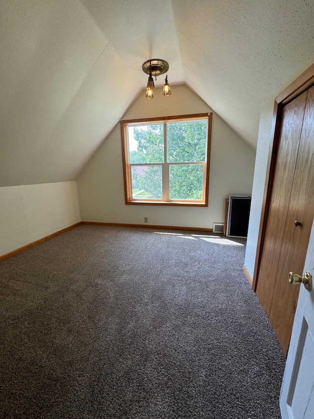 608 Duluth Ave N, Thief River Falls, MN 56701 - additional living space with a textured ceiling, lofted ceiling, and carpet flooring