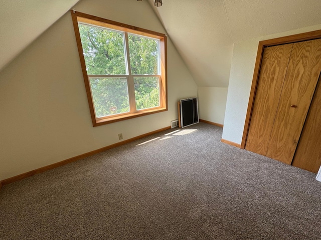 608 Duluth Ave N, Thief River Falls, MN 56701 - additional living space with vaulted ceiling and carpet floors