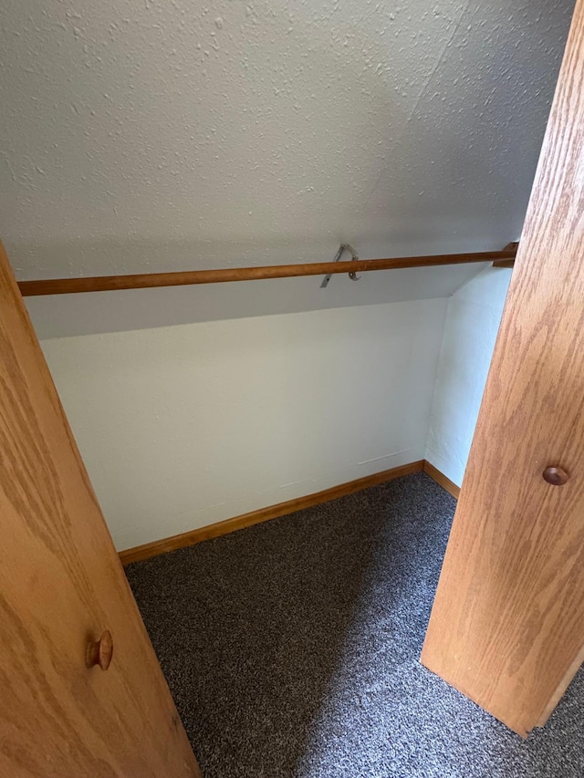 608 Duluth Ave N, Thief River Falls, MN 56701 - spacious closet with carpet