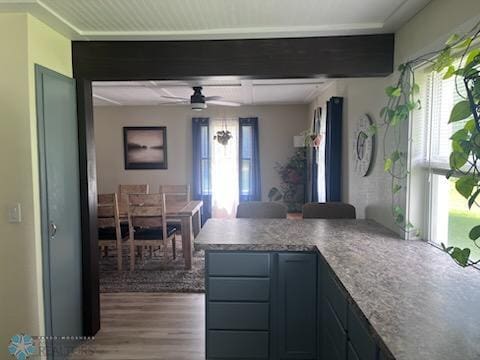 72558 209th St, Collinwood Twp, MN 55325 - kitchen featuring healthy amount of natural light, wood finished floors, a peninsula, and a ceiling fan