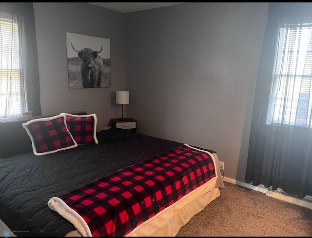 72558 209th St, Collinwood Twp, MN 55325 - view of carpeted bedroom