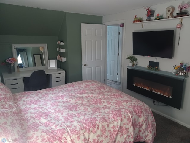 72558 209th St, Collinwood Twp, MN 55325 - bedroom featuring carpet and a glass covered fireplace