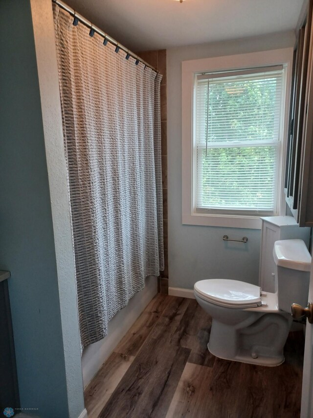 72558 209th St, Collinwood Twp, MN 55325 - full bathroom featuring wood finished floors and a shower with shower curtain