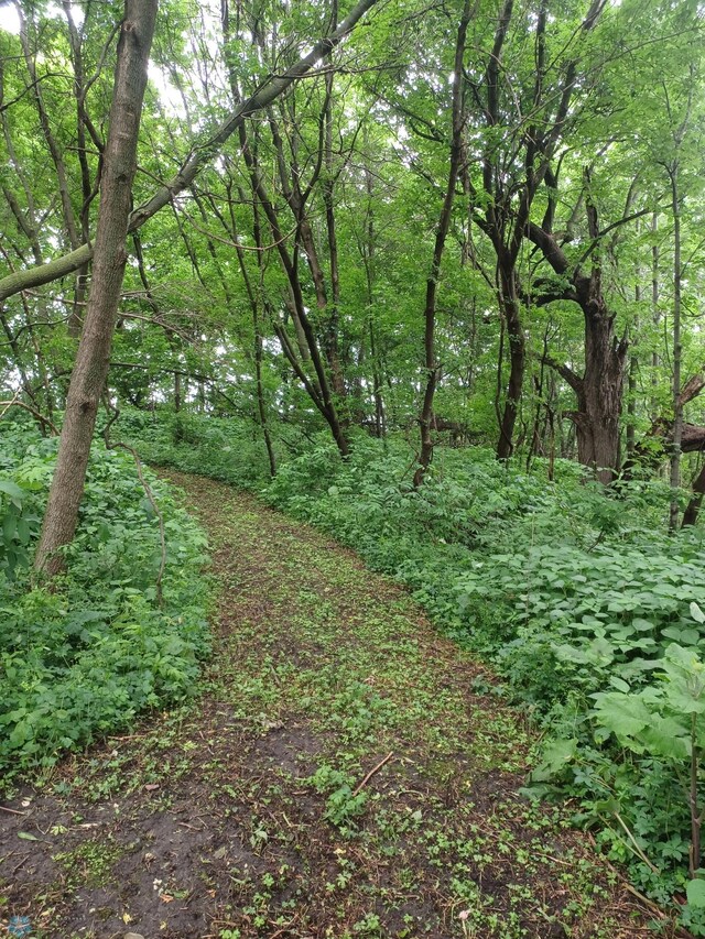72558 209th St, Collinwood Twp, MN 55325 - view of wooded area