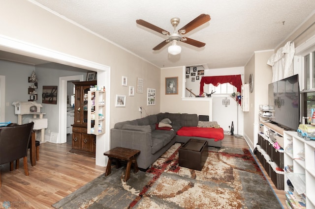 1205 11th St S, Fargo, ND 58103 - living area featuring ceiling fan, wood finished floors, ornamental molding, and a textured ceiling