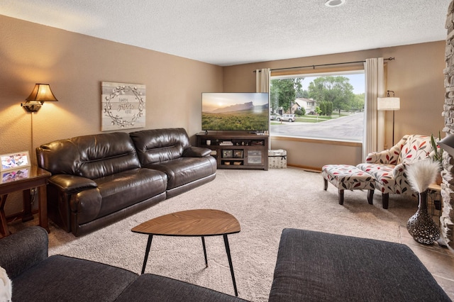 2900 16th Ave S, Moorhead, MN 56560 - carpeted living room with a textured ceiling
