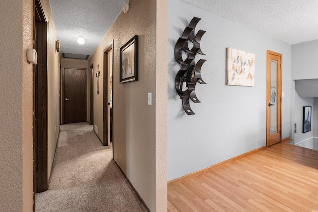 2900 16th Ave S, Moorhead, MN 56560 - hallway with a textured ceiling, a textured wall, and wood finished floors