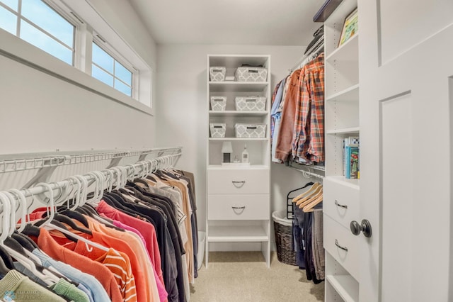 6728 Ashwood Loop, Fargo, ND 58104 - walk in closet featuring carpet floors