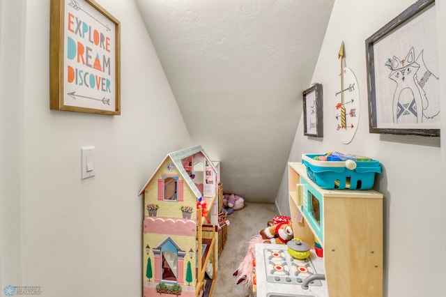 6728 Ashwood Loop, Fargo, ND 58104 - rec room with lofted ceiling, carpet floors, and a textured ceiling
