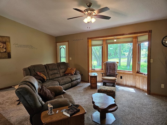611 3rd St SW, Richville, MN 56576 - living room featuring a ceiling fan, carpet, vaulted ceiling, and a textured ceiling