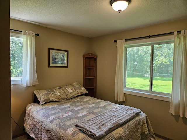 611 3rd St SW, Richville, MN 56576 - bedroom featuring multiple windows, a textured ceiling, and carpet floors