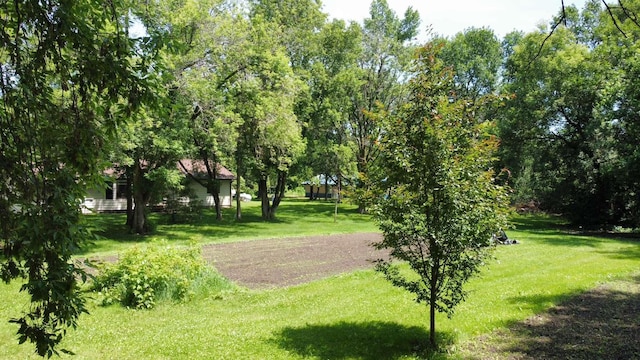 611 3rd St SW, Richville, MN 56576 - view of property's community with a lawn
