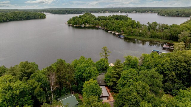 30883 Fish Trap Lake Dr, Cushing, MN 56443 - photo 4