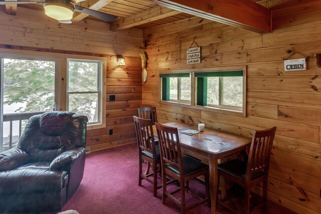 30883 Fish Trap Lake Dr, Cushing, MN 56443 - photo 17