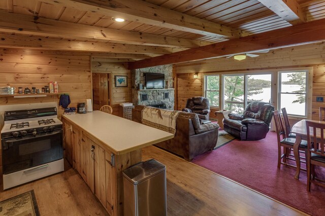 30883 Fish Trap Lake Dr, Cushing, MN 56443 - photo 18