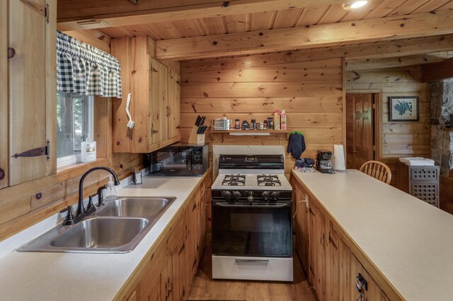 30883 Fish Trap Lake Dr, Cushing, MN 56443 - photo 12