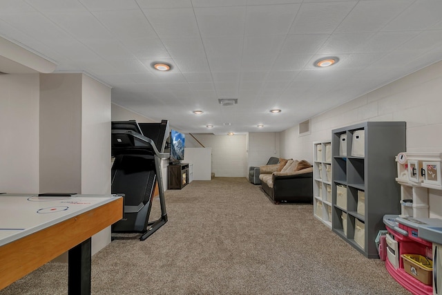 3773 County Road 74, Saint Cloud, MN 56301 - game room featuring carpet and concrete block wall