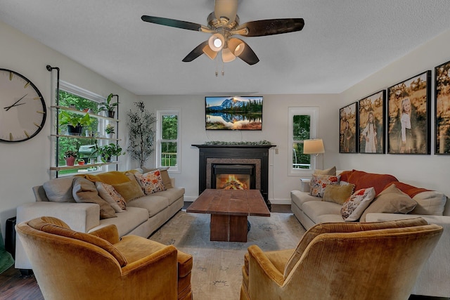 3773 County Road 74, Saint Cloud, MN 56301 - living room featuring wood finished floors, a glass covered fireplace, and ceiling fan