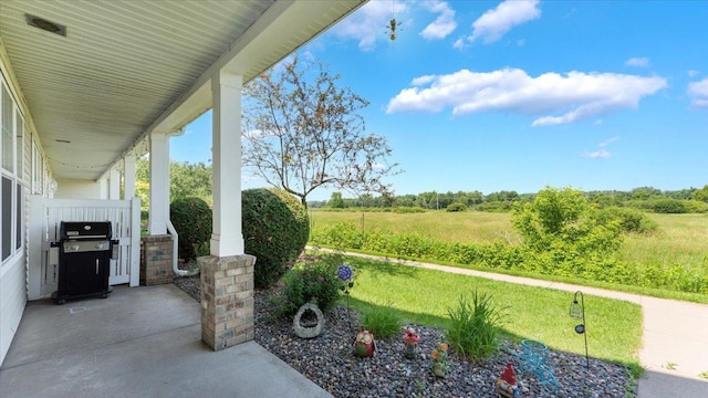 10457 172nd Ln NW, Elk River, MN 55330 - photo 2