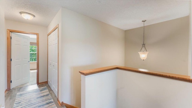 10457 172nd Ln NW, Elk River, MN 55330 - photo 19