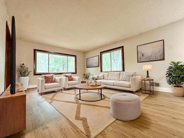 2360 3rd St NW, New Brighton, MN 55112 - living area featuring wood finished floors and a textured ceiling