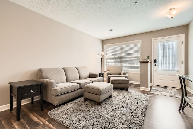 9902 5th Street Ln N, Lake Elmo, MN 55042 - living area featuring dark wood finished floors and a textured ceiling
