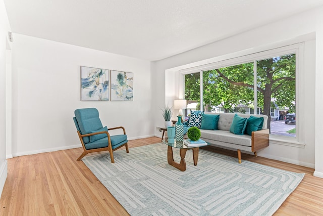 1007 Ingerson Rd, Shoreview, MN 55126 - living room featuring light wood-style floors and baseboards