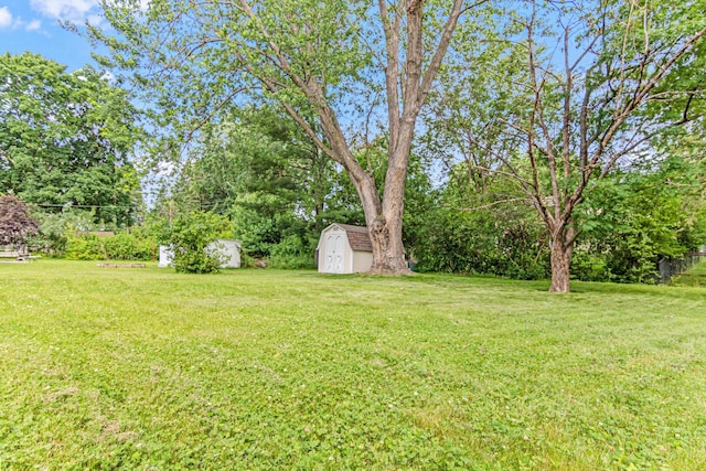 1007 Ingerson Rd, Shoreview, MN 55126 - view of green lawn featuring a storage unit and view of wooded area
