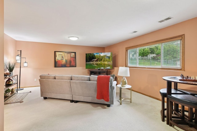 8580 Chanhassen Hills Dr S, Chanhassen, MN 55317 - photo 24