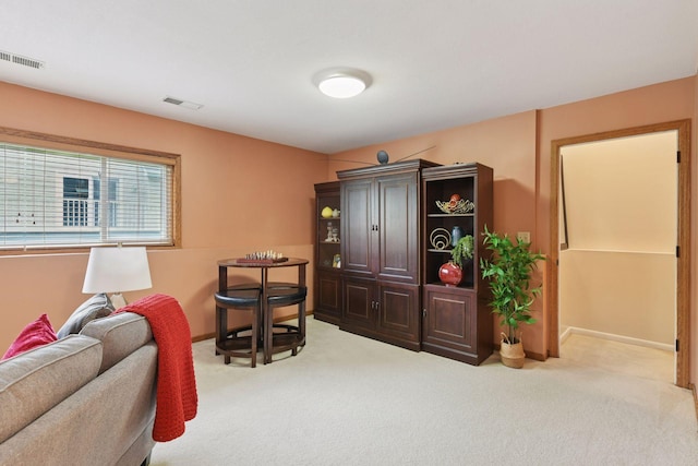8580 Chanhassen Hills Dr S, Chanhassen, MN 55317 - photo 27