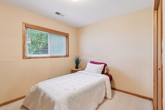 8580 Chanhassen Hills Dr S, Chanhassen, MN 55317 - photo 29