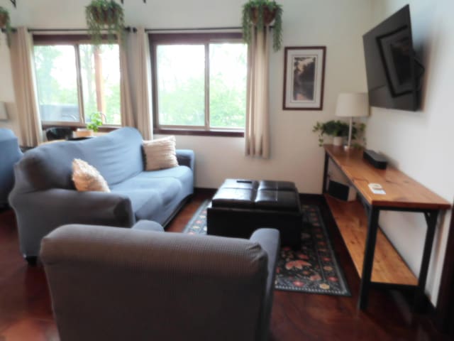 14650 Hilltop Rd, Ashby, MN 56309 - living room with wood finished floors