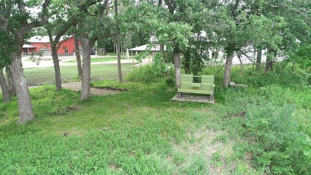 14650 Hilltop Rd, Ashby, MN 56309 - view of green lawn