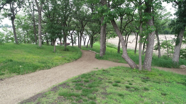 14650 Hilltop Rd, Ashby, MN 56309 - view of home's community