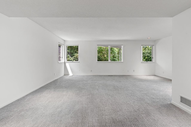 3520 Fairway Ln, Minnetonka, MN 55305 - empty room featuring plenty of natural light and carpet
