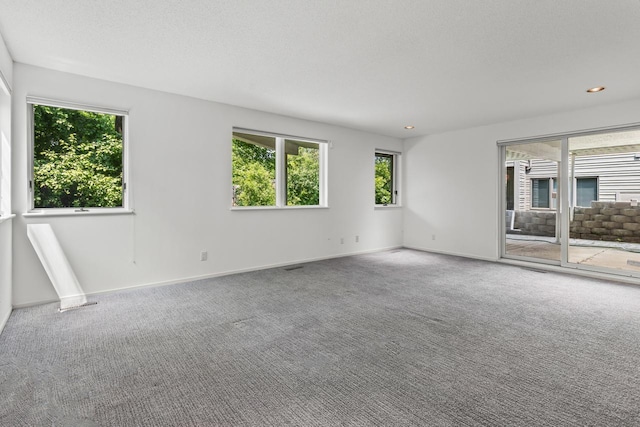 3520 Fairway Ln, Minnetonka, MN 55305 - carpeted spare room featuring healthy amount of natural light and recessed lighting